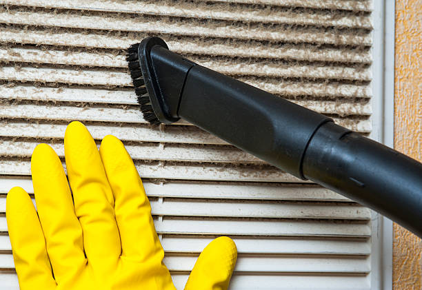 Best Professional Duct Cleaning Services  in Uvalde, TX